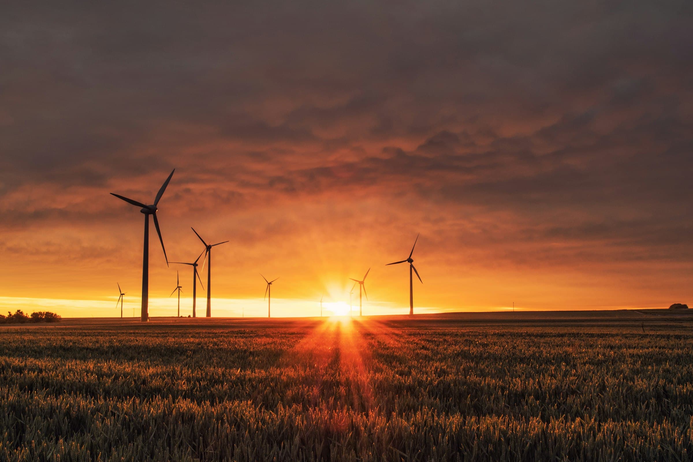 Líneas de transmisión eléctrica sobre el horizonte